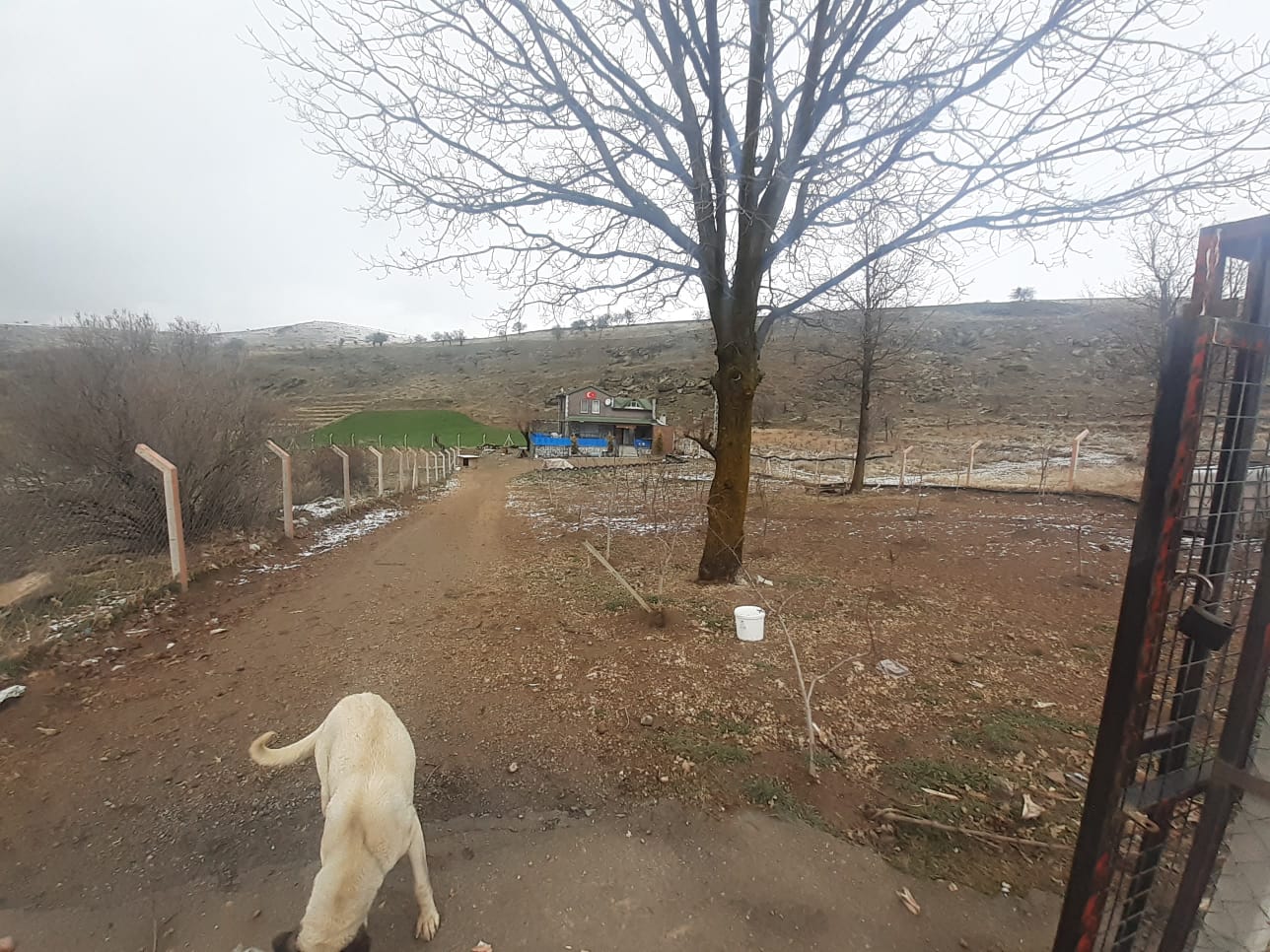 KAYSERİ DEVELİ ÇOMAKLI MAHALLESİ YAPRAKLIBURUN MEVKİİNDE SATILIK BAĞ EVİ